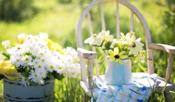 Keeping Your Summer Garden in Tip Top Condition