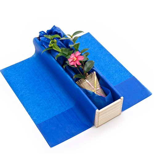 Tree Gift Single