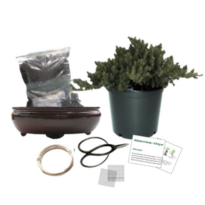 Bonsai Kit