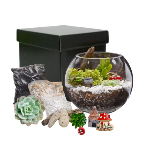 Terrarium Kit containing bowl, ornaments, plants and potting mixes
