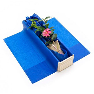 Camellia Tree in wooden gift box by Tree Gifts NZ for delivery in NZ