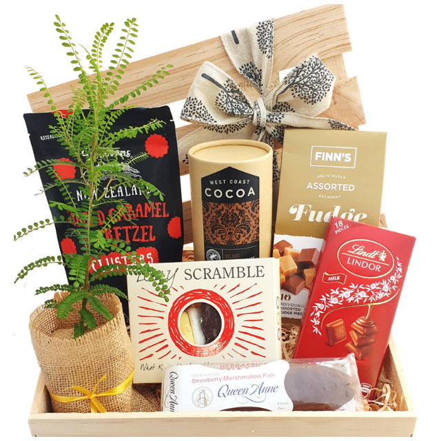 Wooden hamper gift living plant, includes chocolates, fudge, lollies and West Coast Cocoa