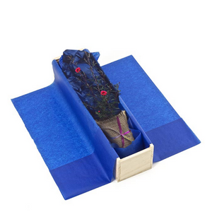 Native Manuka tree in wooden gift box wrapped in blue tissue 