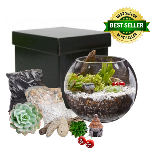 A Terrarium kitset with plants, glass bowl and figurines in black gift box